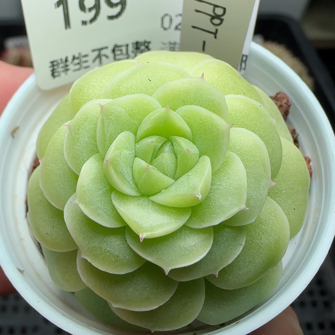 0204-199（PPT-34）