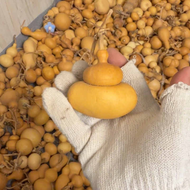 葫芦9.9.9.9.9.9.9.9