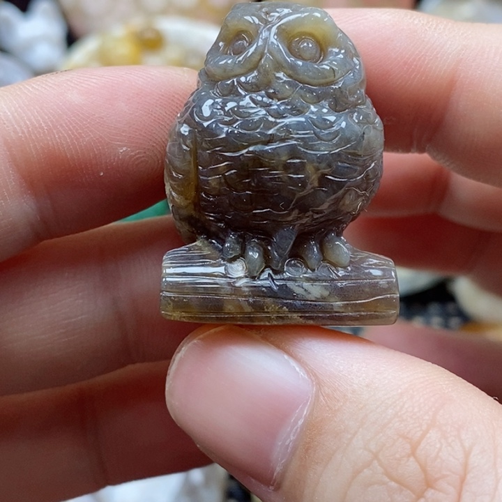 硅化珊瑚（珊瑚玉）颈饰未镶嵌