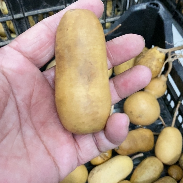 豆*?absk sk qab ja a