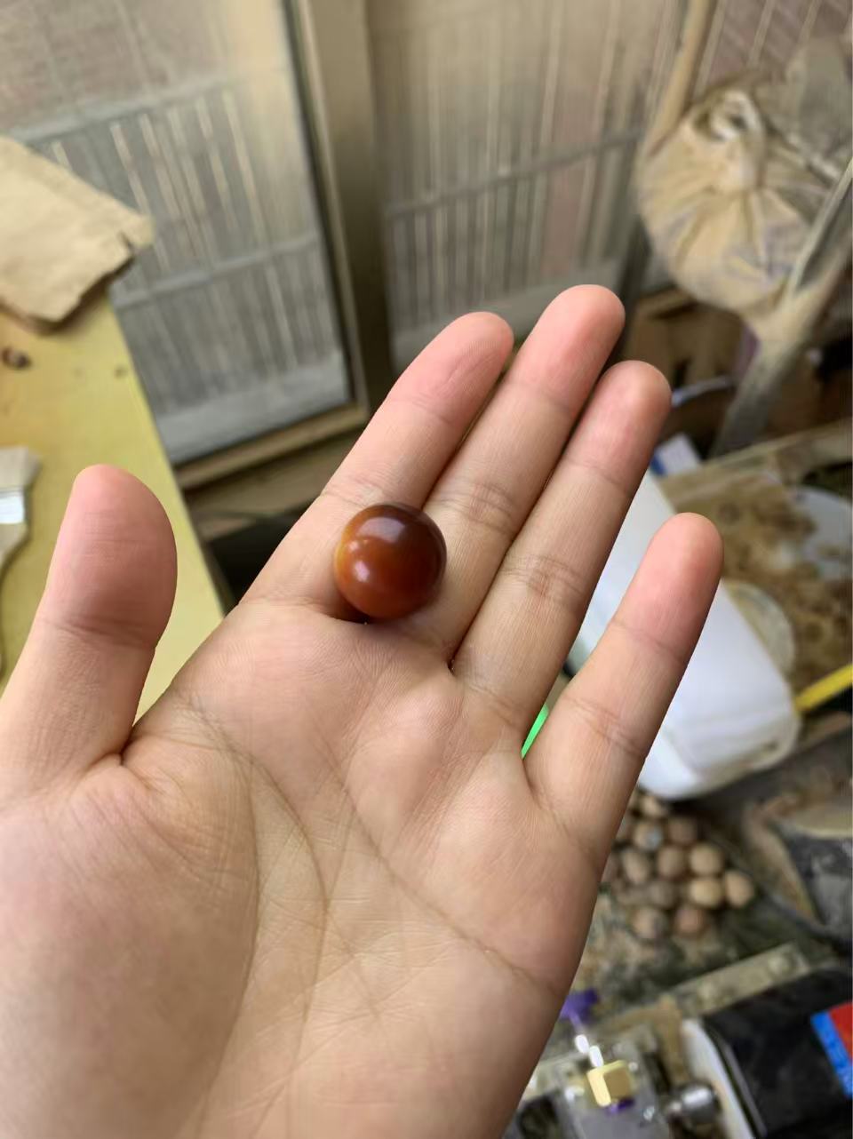 普通手串发后货菩提根