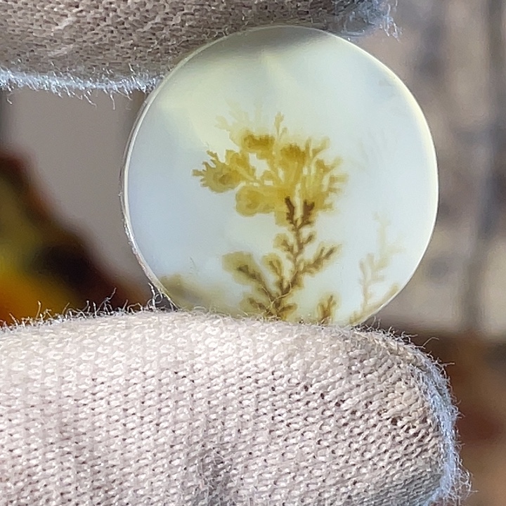 唯美风景画面图案