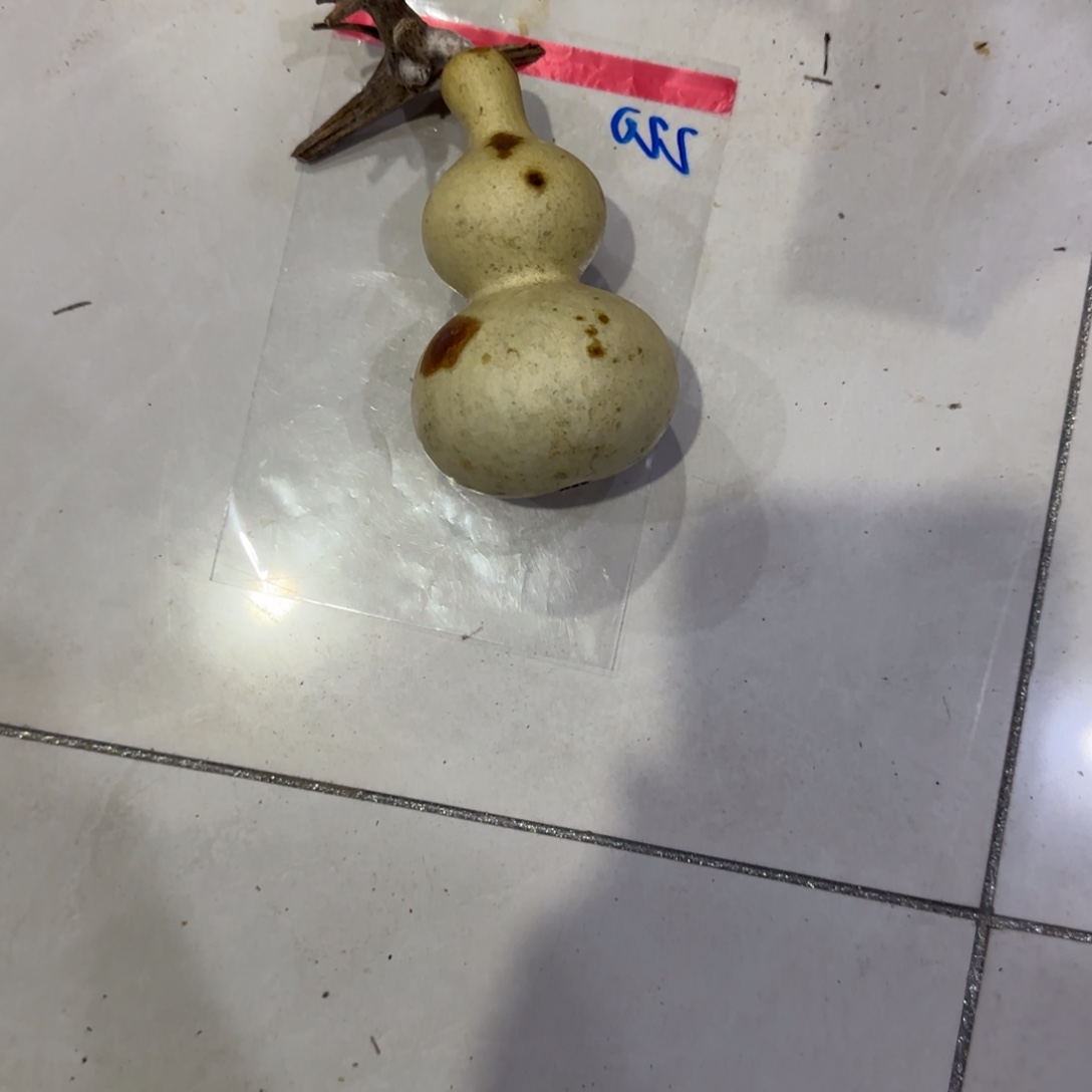 痛***扉葫芦乐乐粒磨损率咯OK乐乐