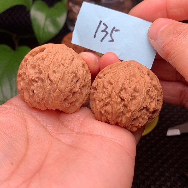 【闪购商品】把件文玩核桃39.5白狮子135