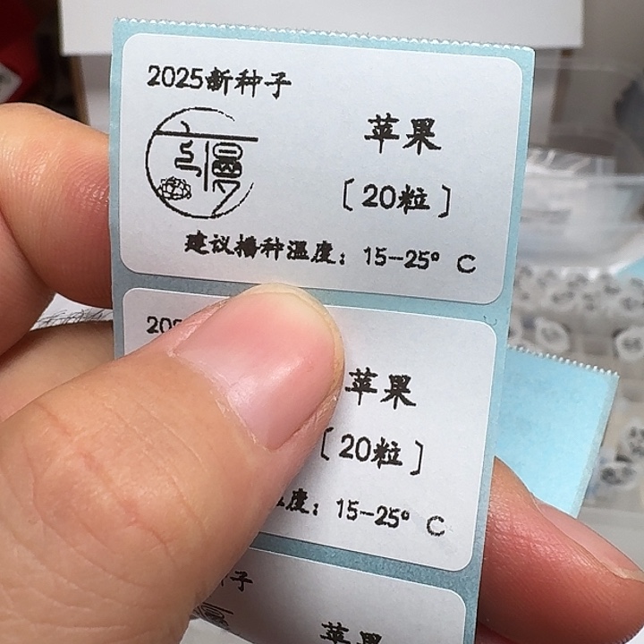 如图糖心珍妮种子苹果20粒不包出芽率