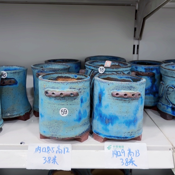 红陶内口8.5高11.7左右