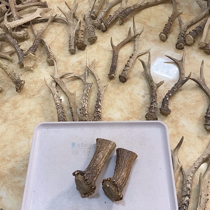 ****雨大叶紫檀（黑酸枝木类）