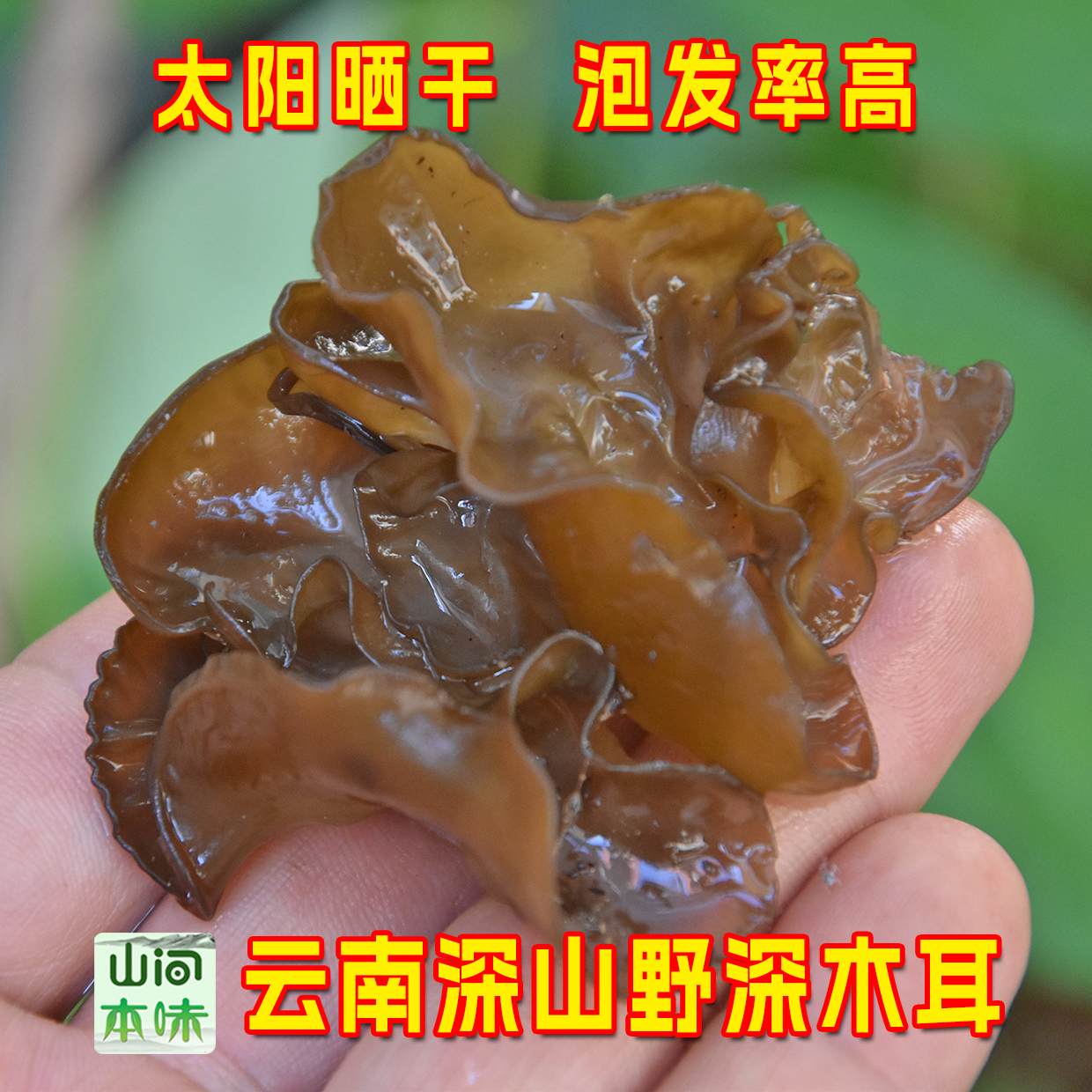 云南野深黑木耳干货自然生长散装熬粥煲汤炖肉凉拌炒菜云南土特产