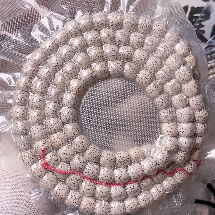 星月菩提手串S004 星月哈哈哈10