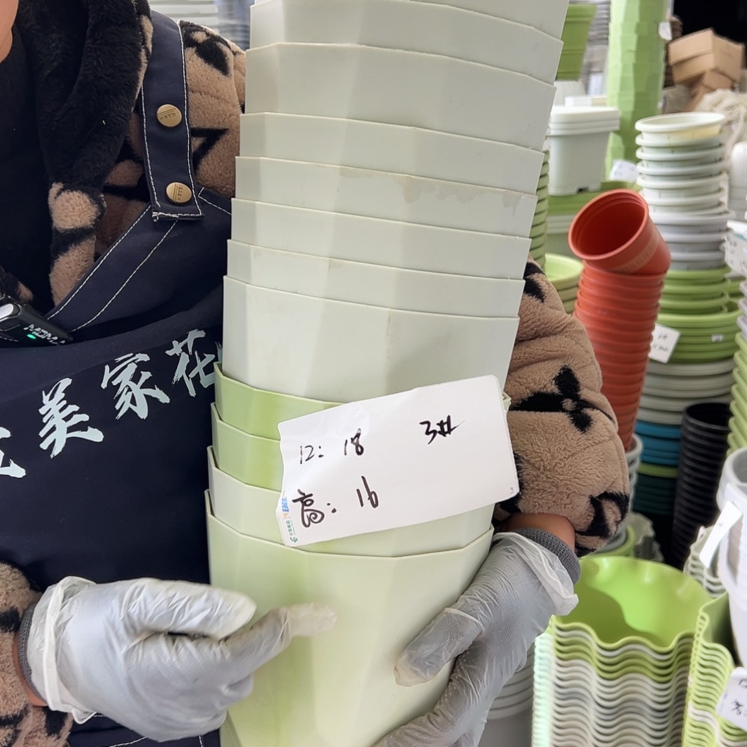 瑕疵雅典3#米白色8个无托