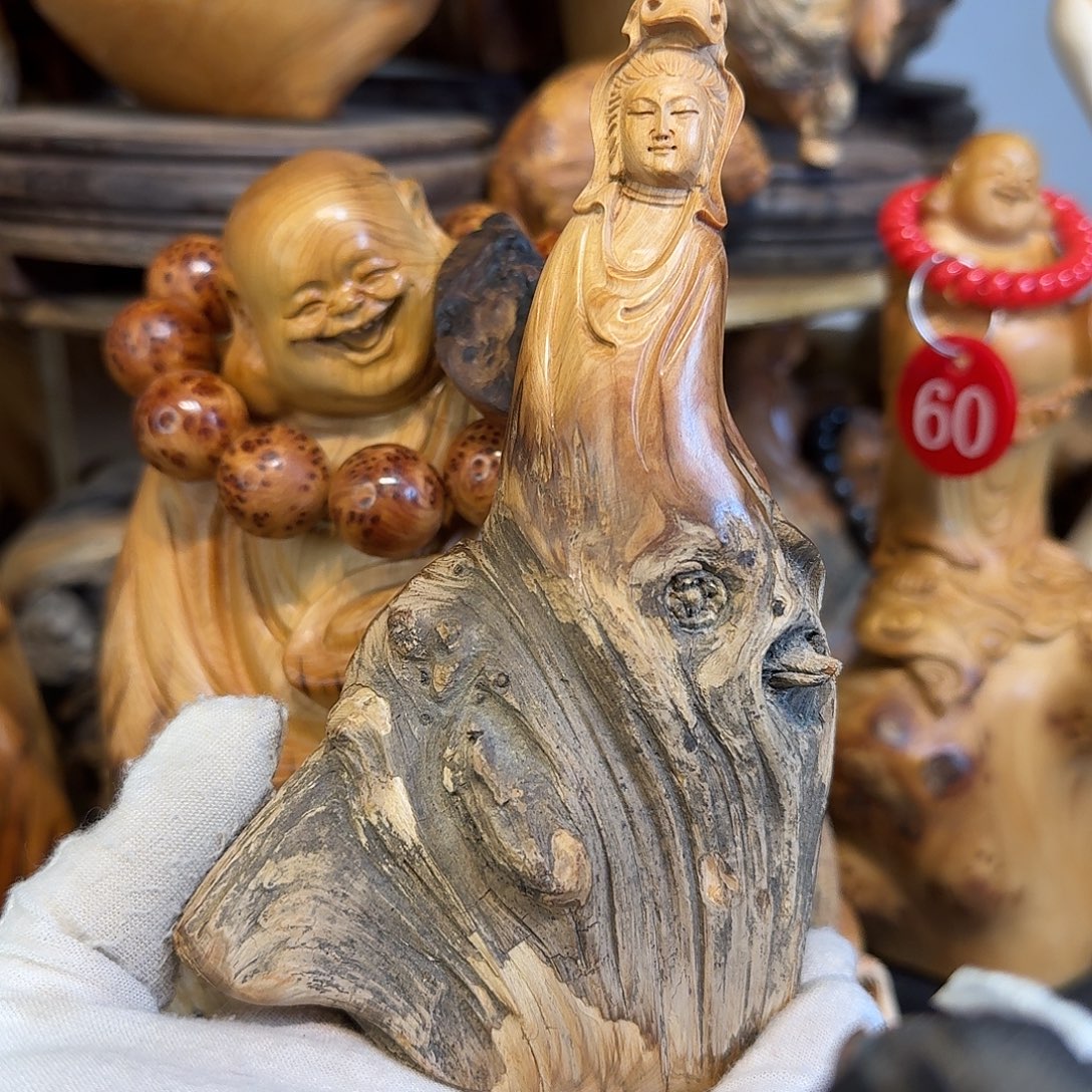 柏木（崖柏）666666666