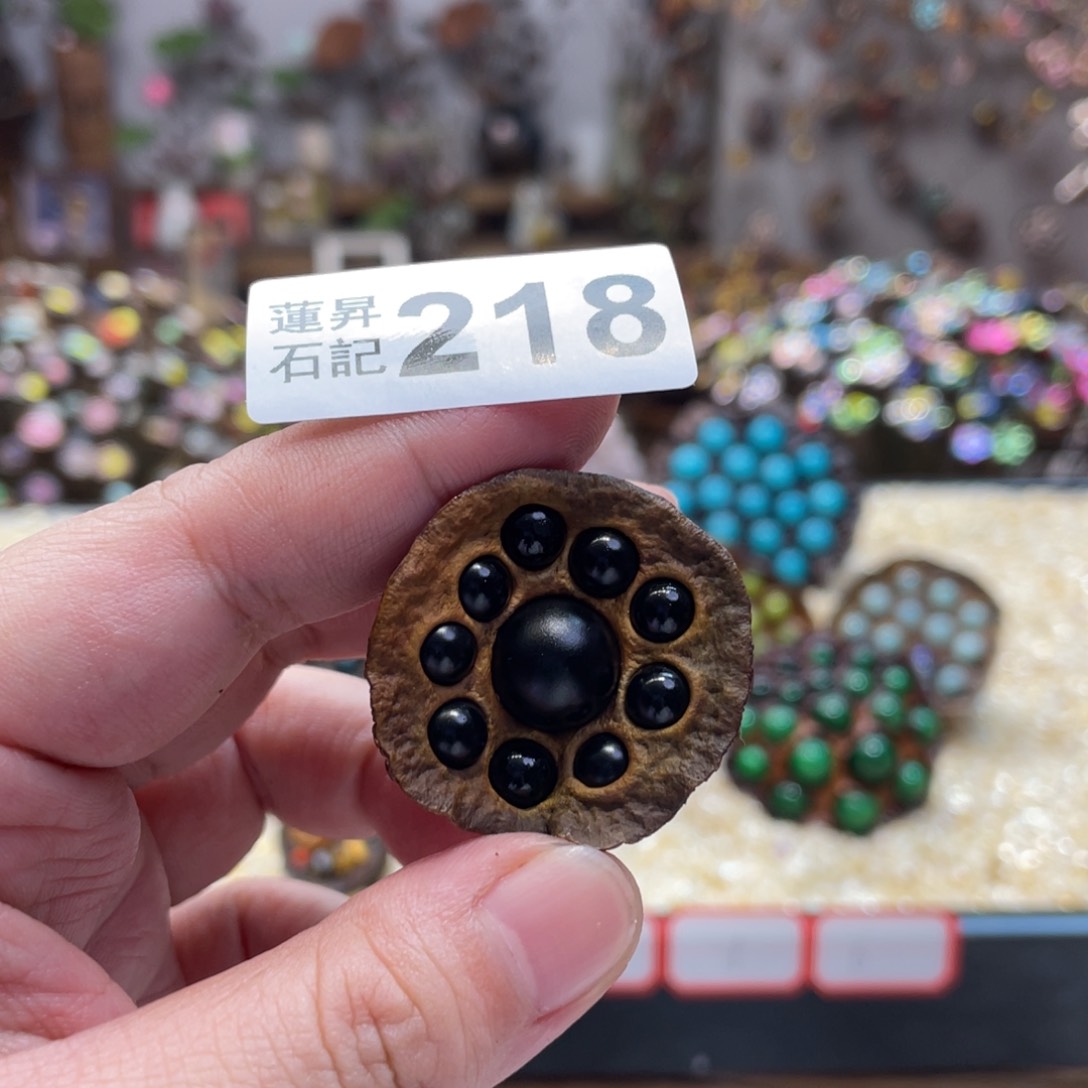 核桃木/黑胡桃（胡桃木）绻**依218