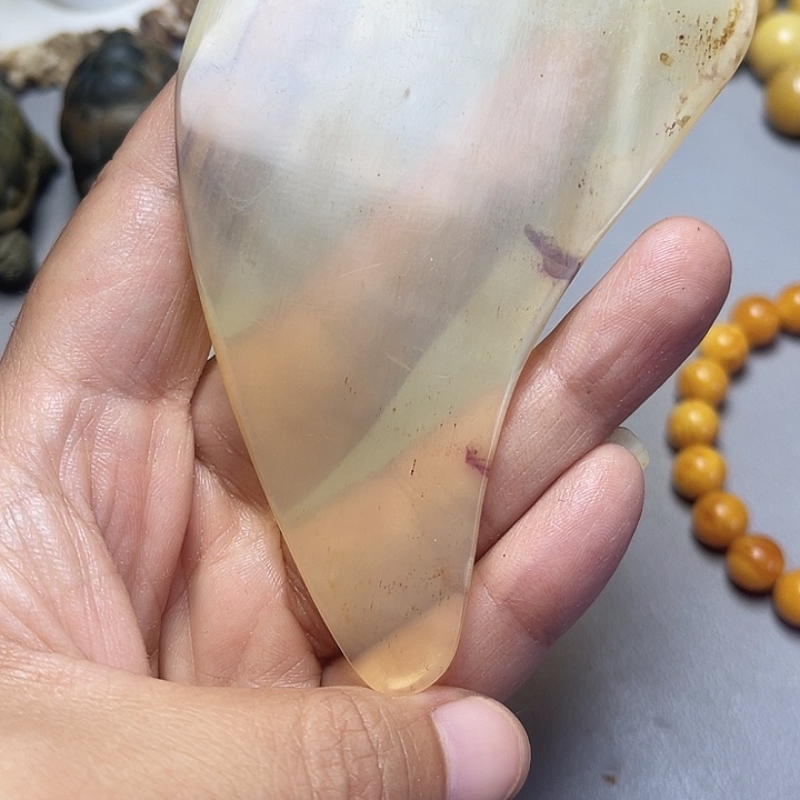 大果紫檀（缅甸花梨）