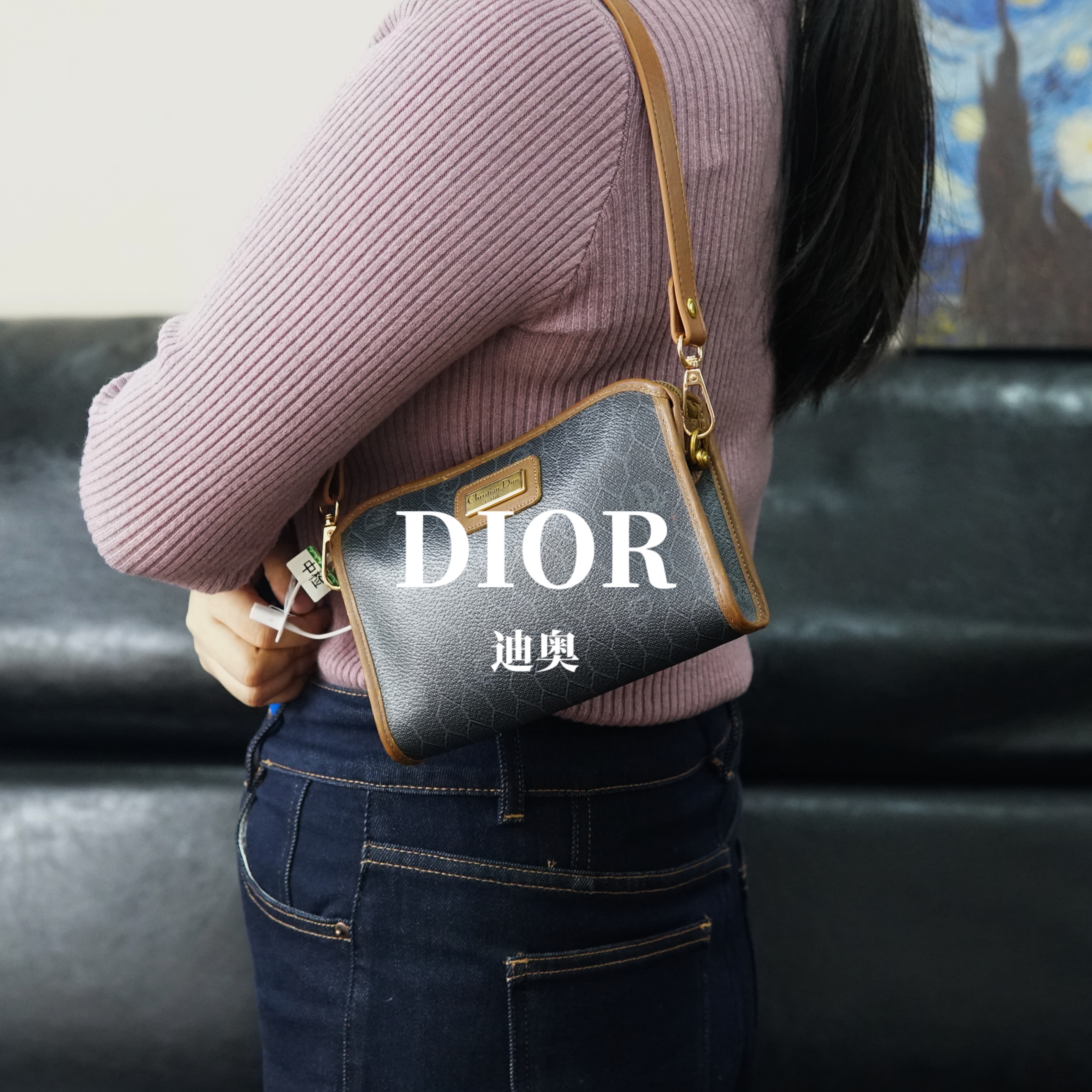 95新 DIOR/迪奥 老花单肩包/DS12405042/5042