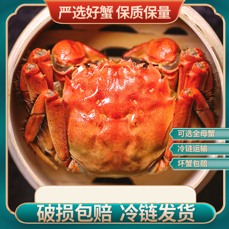 【活蟹】苏州大闸蟹全母蟹3.2-3.5两螃蟹8只/10只鲜活湖蟹现货直发