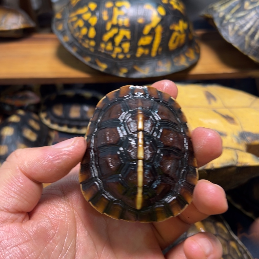 永***恒呀呀呀呀呀呀呀呀呀呀呀