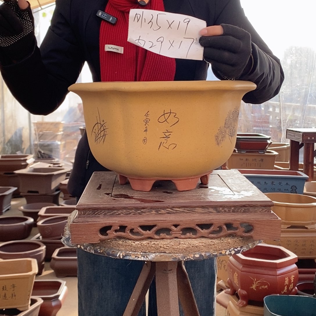 花盆紫砂紫砂花盆