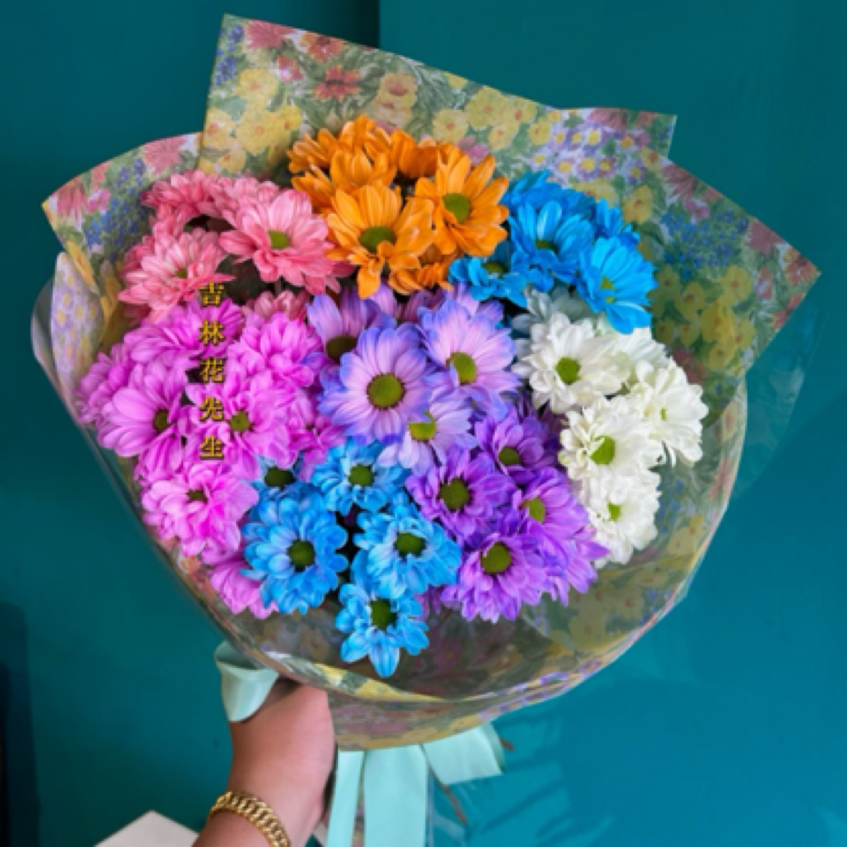 莫奈花园七彩小雏菊（颜色不指定）