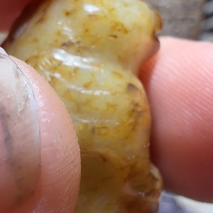 周***行和田玉（糖玉）未镶嵌挂件