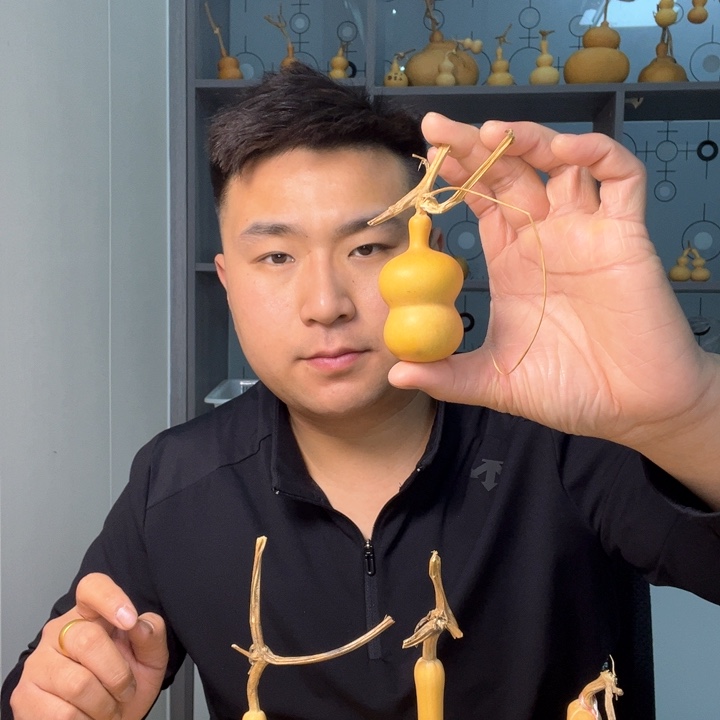 橄榄核手串/手链年****o