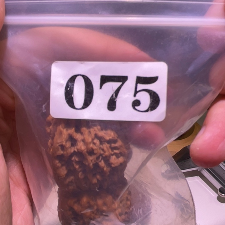 ****乐文玩核桃吊坠075黄金甲