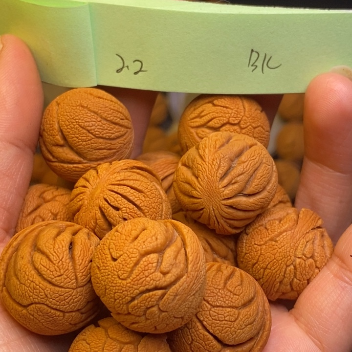 桃核吊坠秦岭龙纹桃核22尺寸