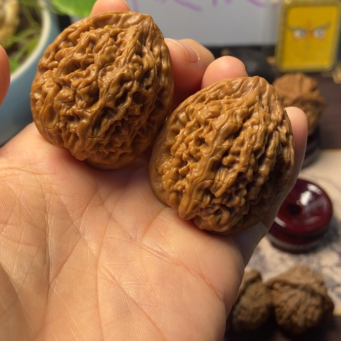 文玩核桃把件全品粗筋蚂蚁王37