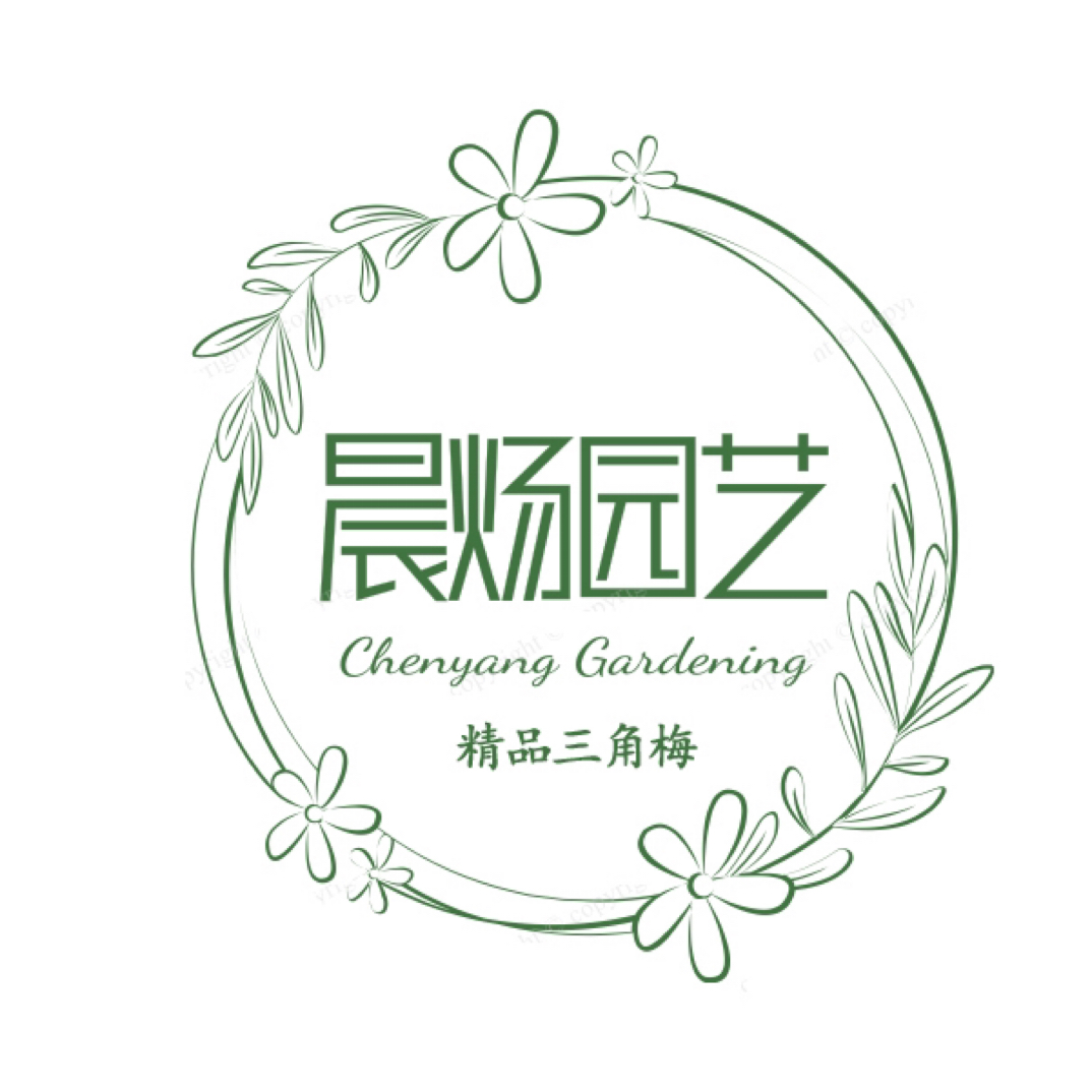 多品种三角梅保温专属链接