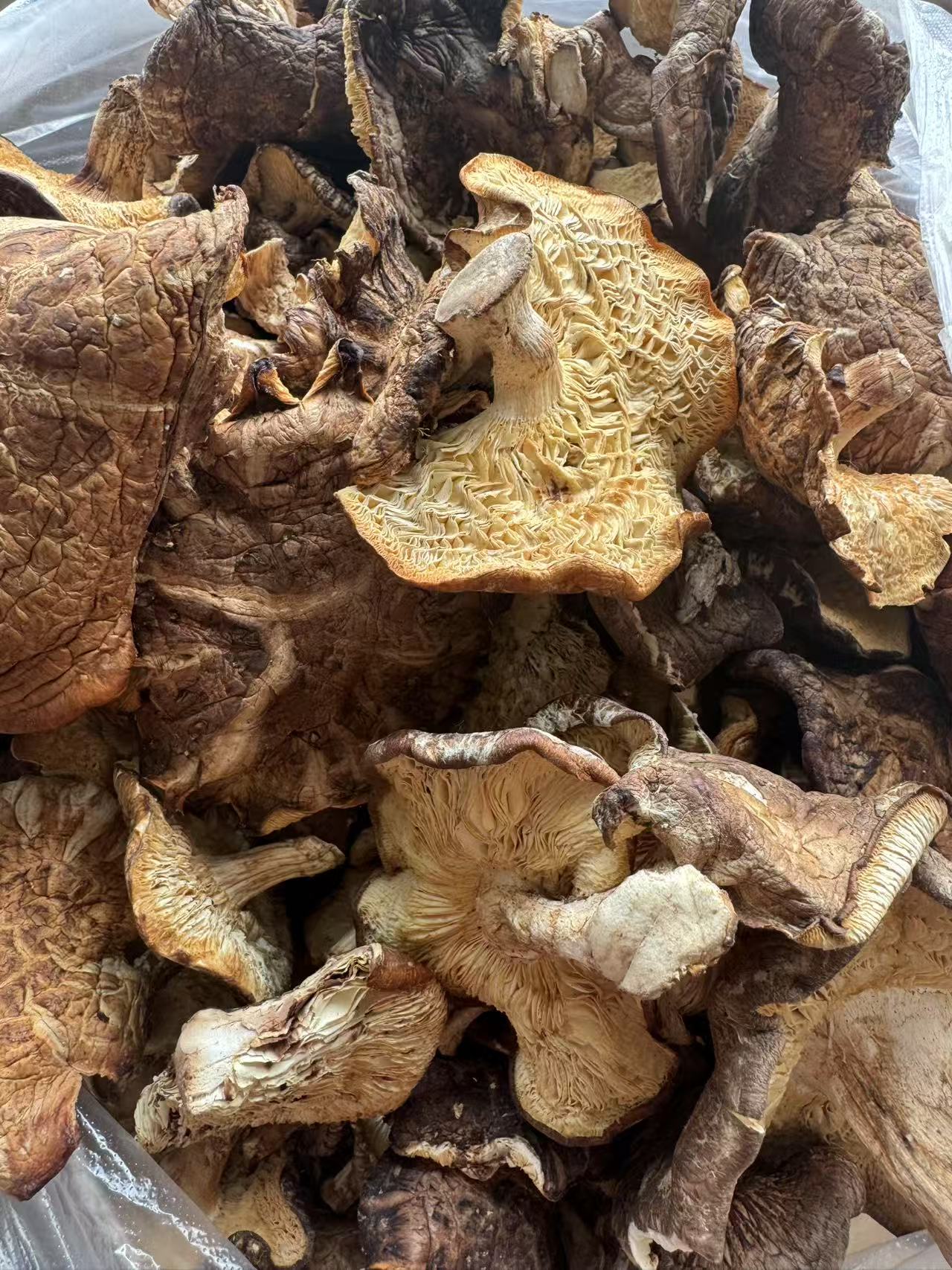 山香菇手选精品菇