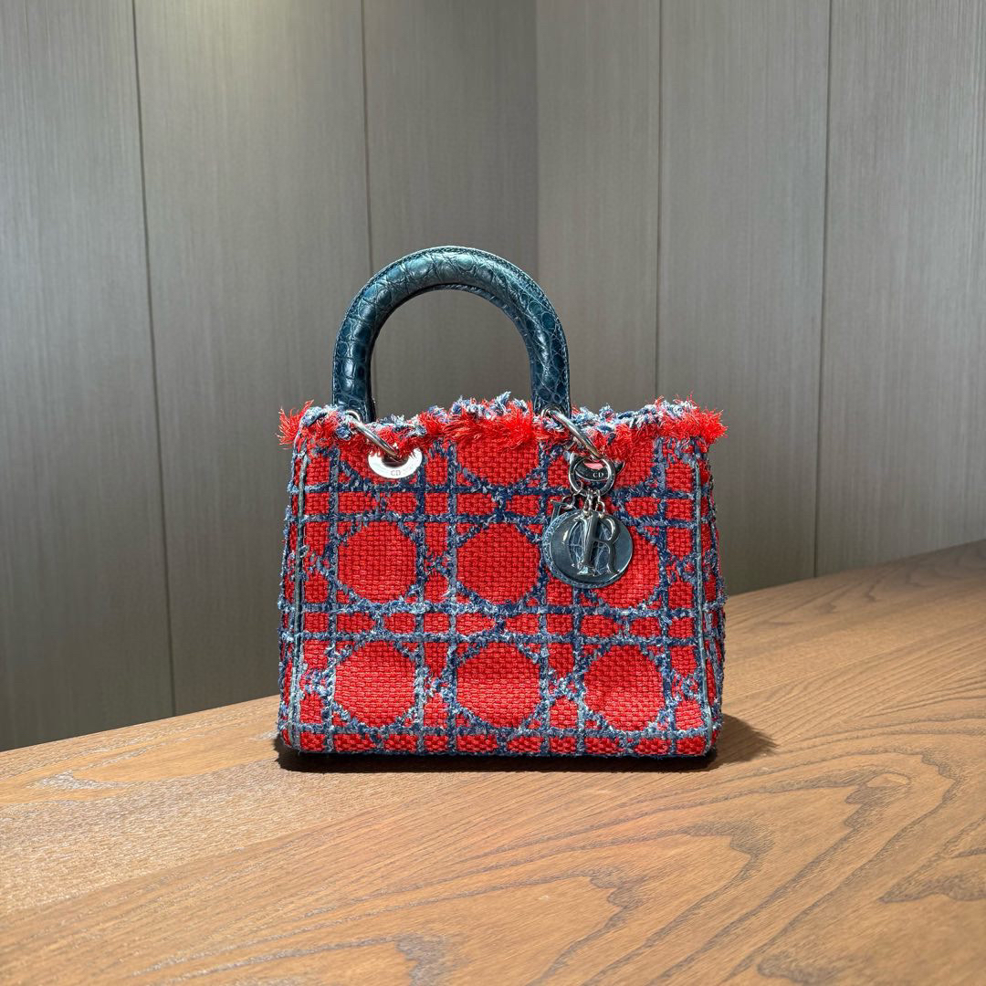 99新 DIOR/迪奥 五格戴妃限量款手提包 尺寸24×20