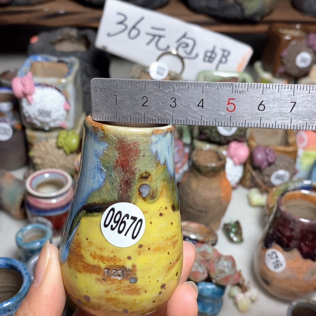 拍5送一个小礼物