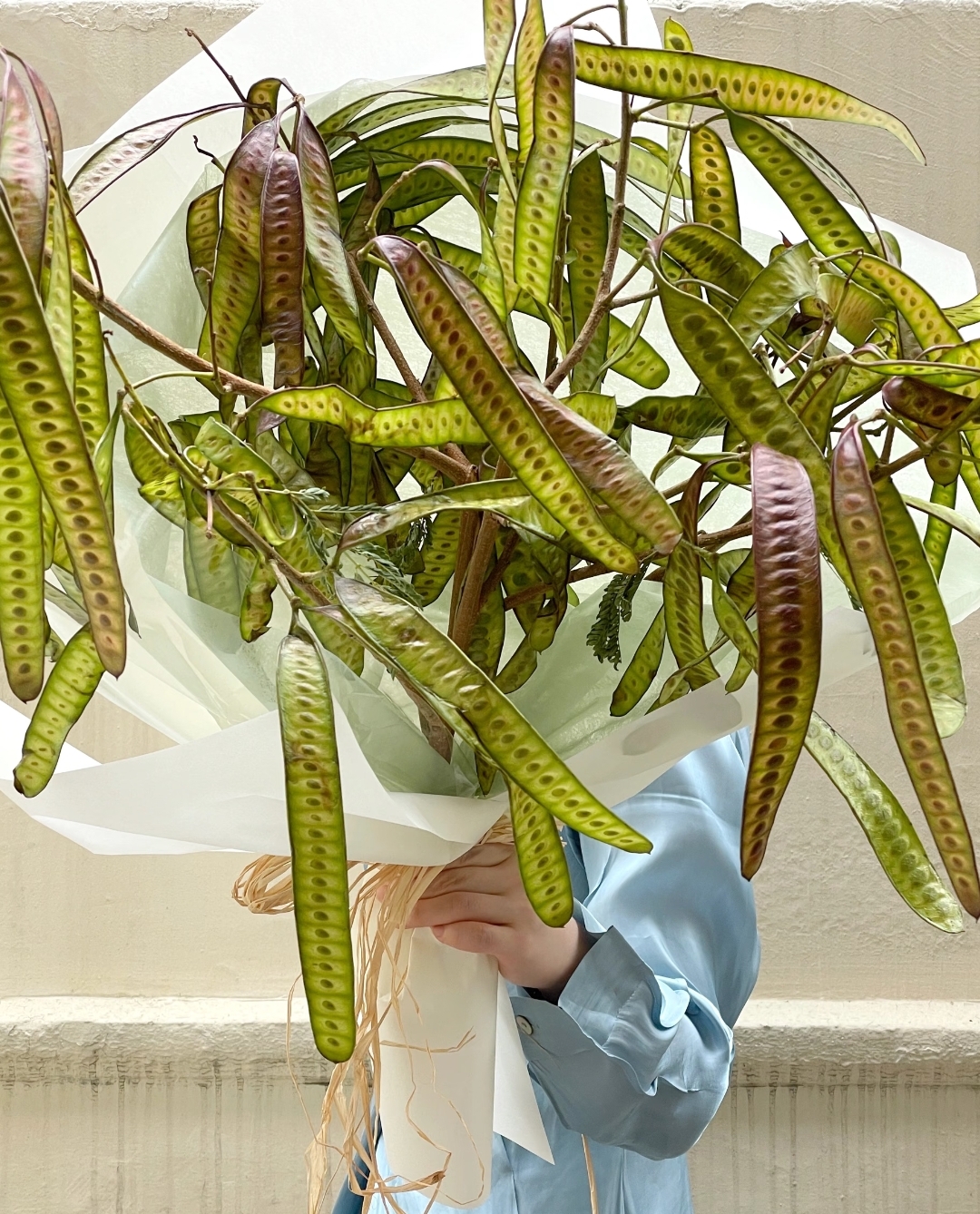 （云云推荐）豆荚花高级复古可爱小众百搭可做干花