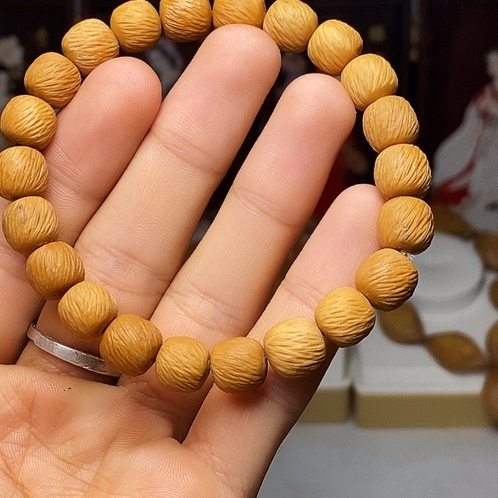 橄榄核手串/手链hhhhbbbhhhhhhhhhhhhhhhb