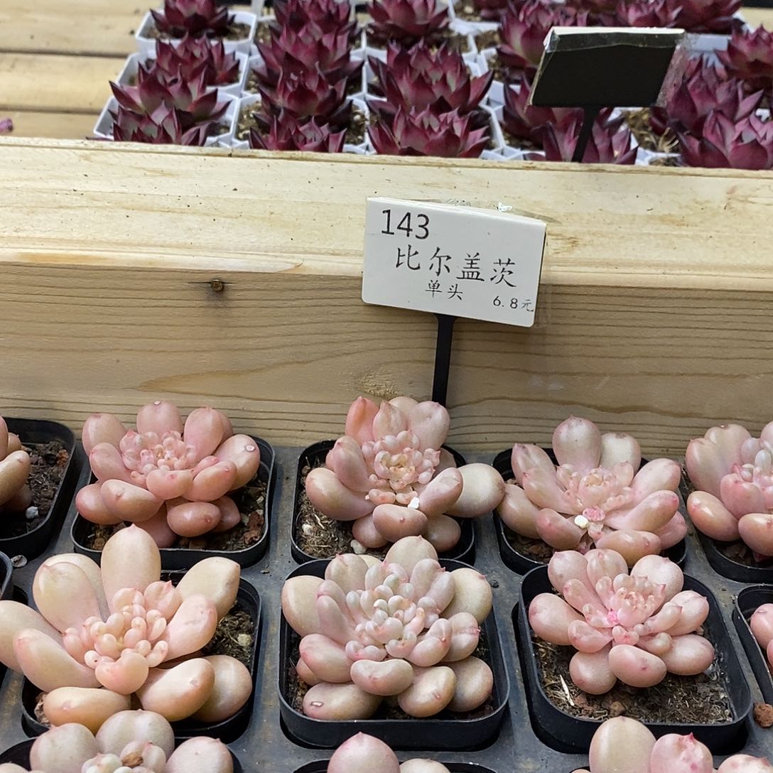 143比尔盖茨 福利多多