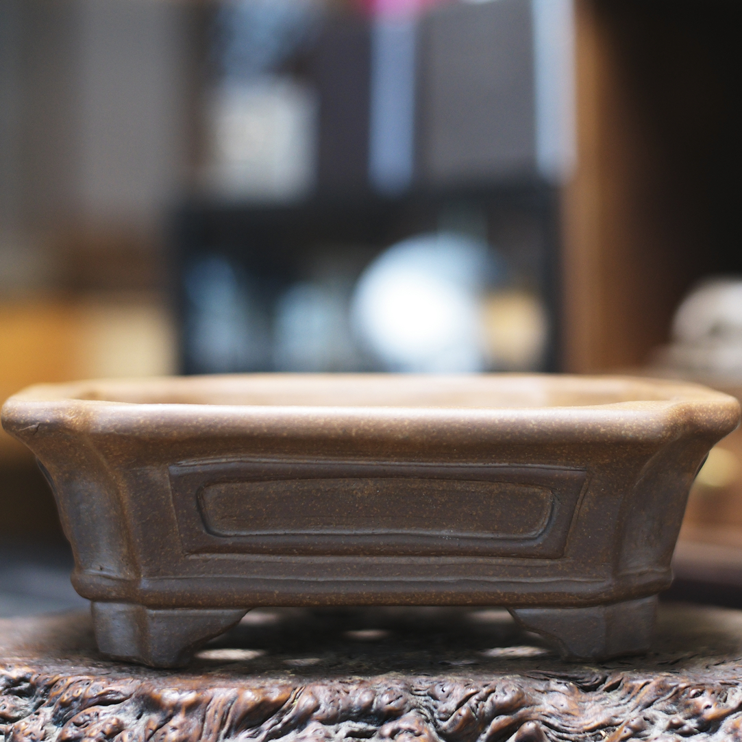 《中野行山》长方花盆切角线奎造型松柏盆景盆23.5*21.6*8cm