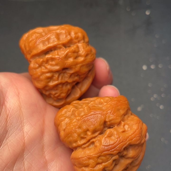 秦岭野生核桃文玩