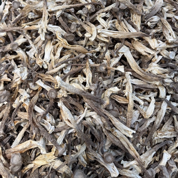 干鹿茸菇鹿茸菇500g装