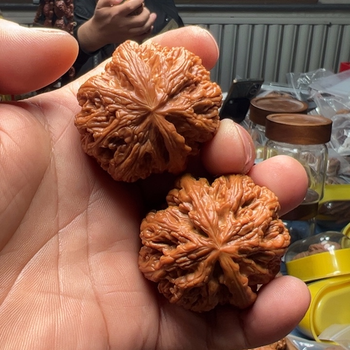 @***嘎把件文玩核桃大粗筋狮子头