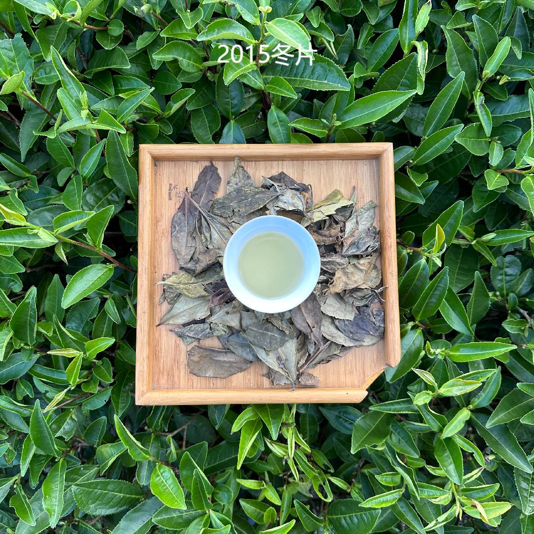 【霜降】2015年 霜降 寿眉  药香果甜 磻溪白茶
