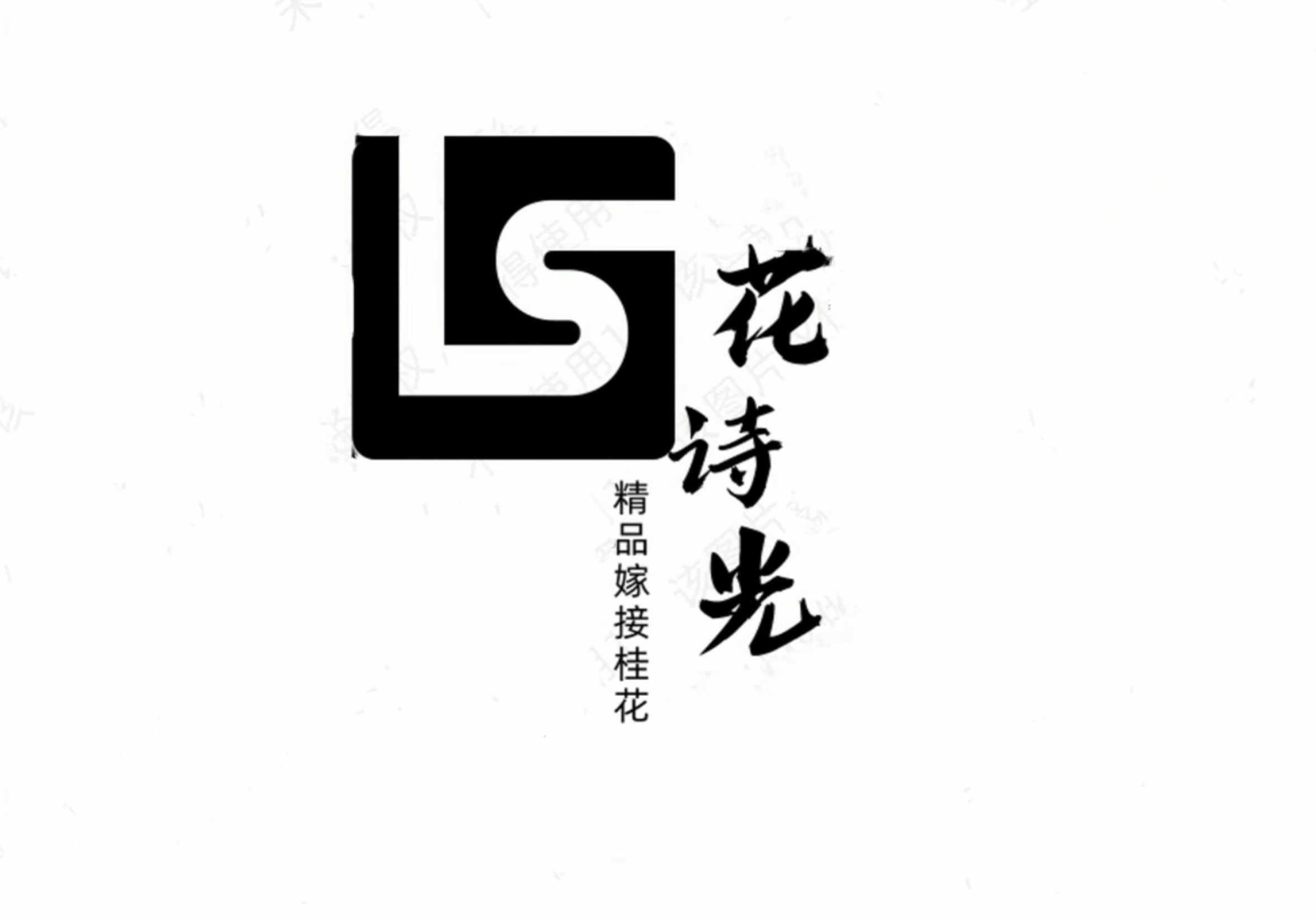 【花诗光花卉】直播间一物一拍（脱盆邮寄）