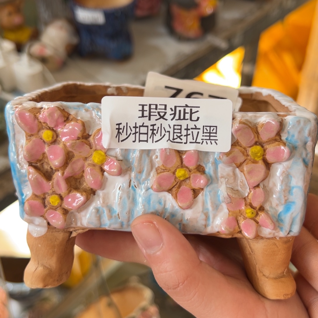花盆，满20发货爱退款拉黑