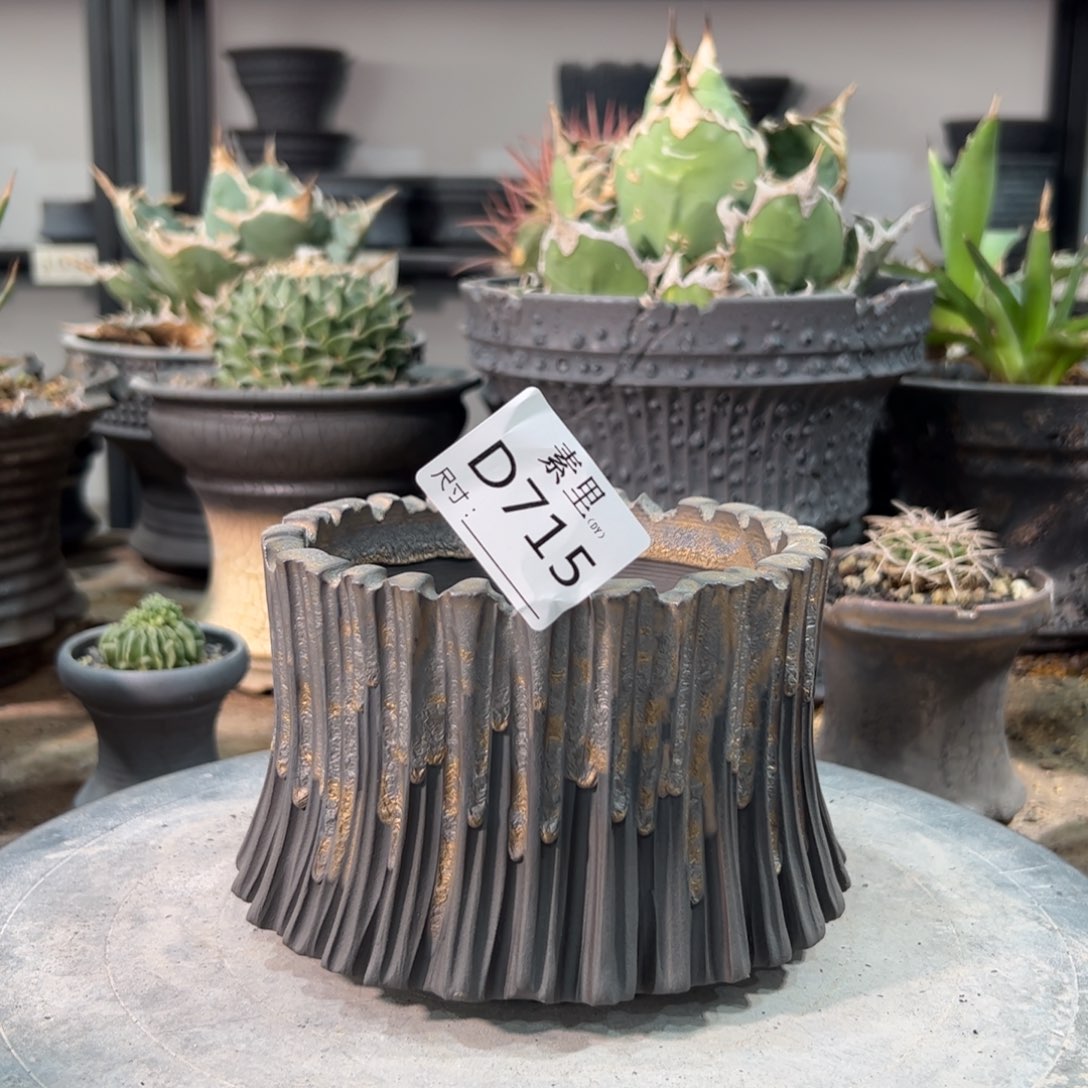 景德镇手工素里内口11.5高9.5