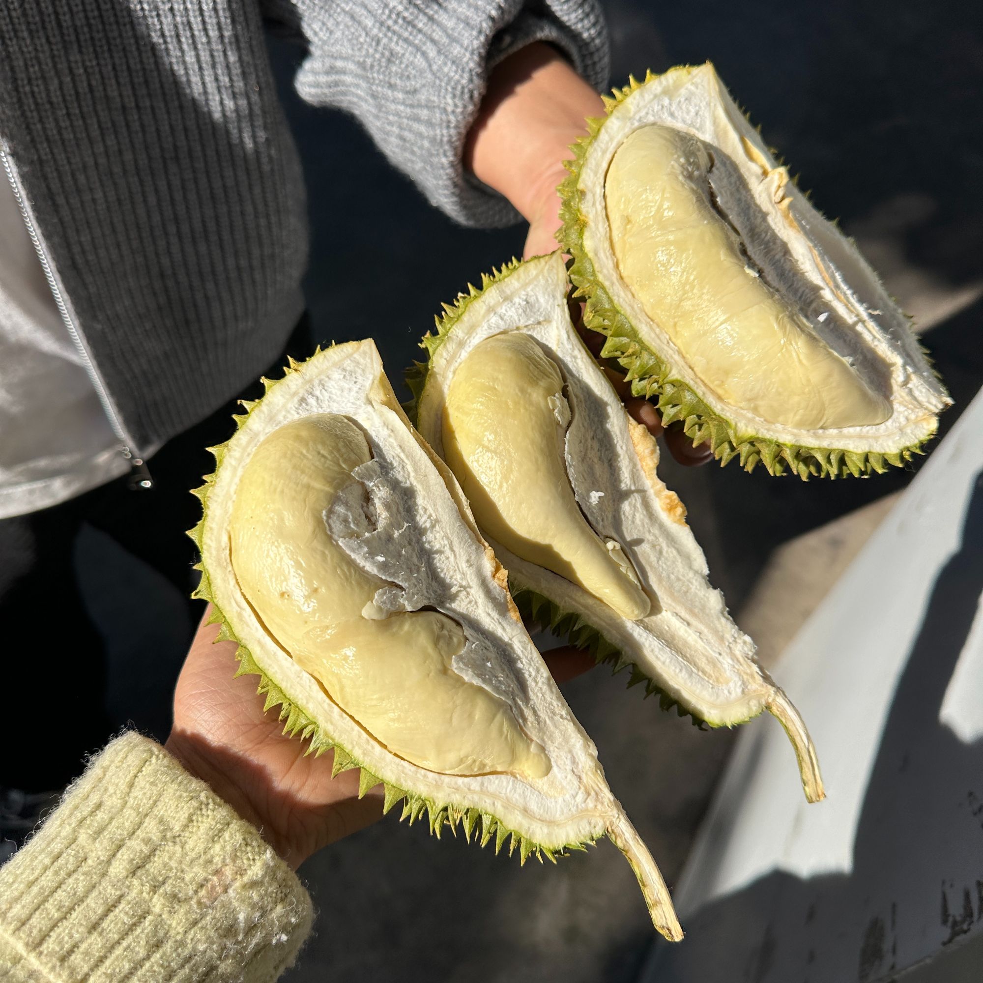 新鲜奶油榴莲猫山王1.4公斤左右核大猫山王越南