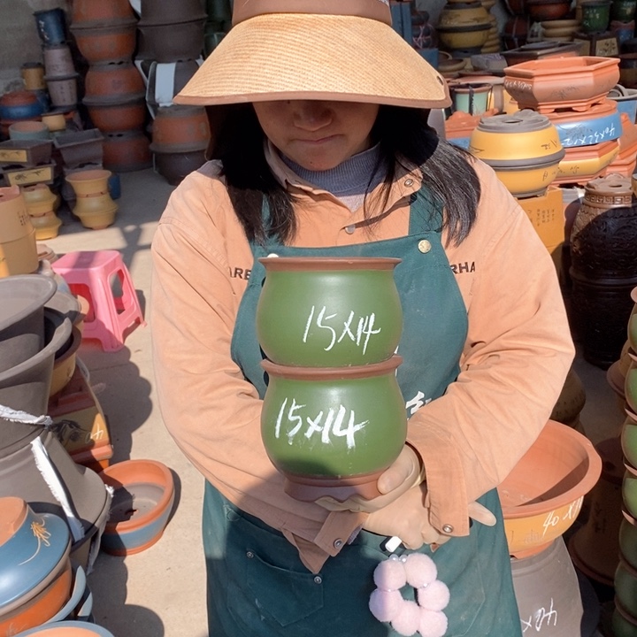 紫砂花盆盆栽花卉苗木种植