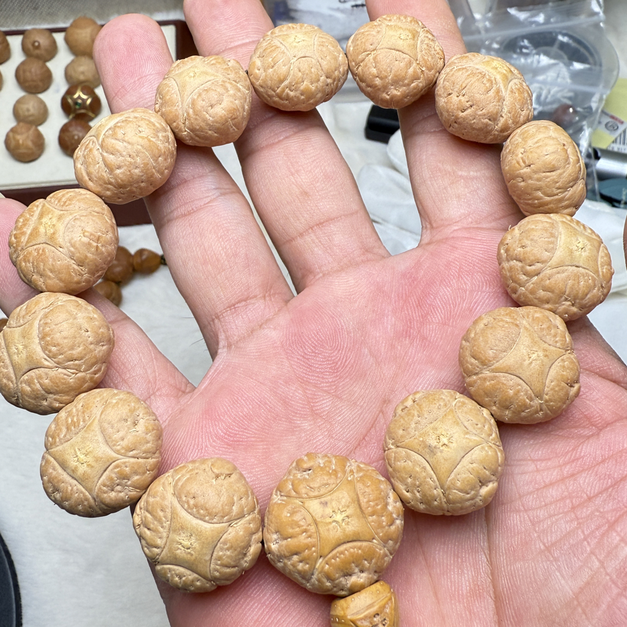 【禪舍】尼泊尔麒麟眼树王凸星20+