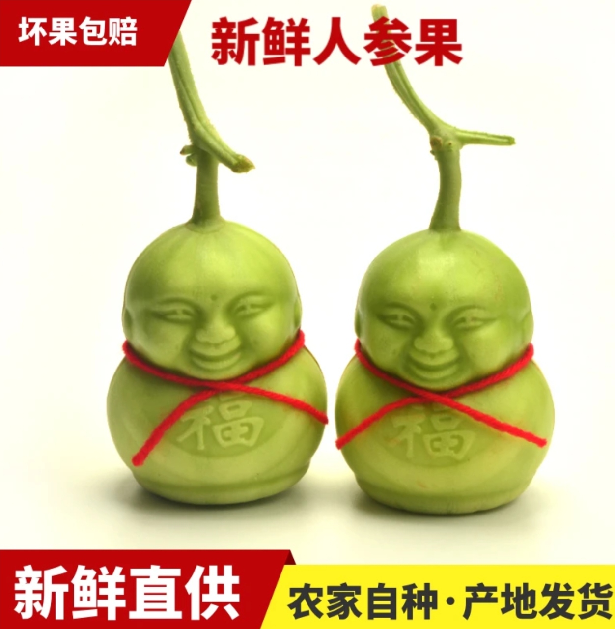 观赏性人参果福娃果包邮