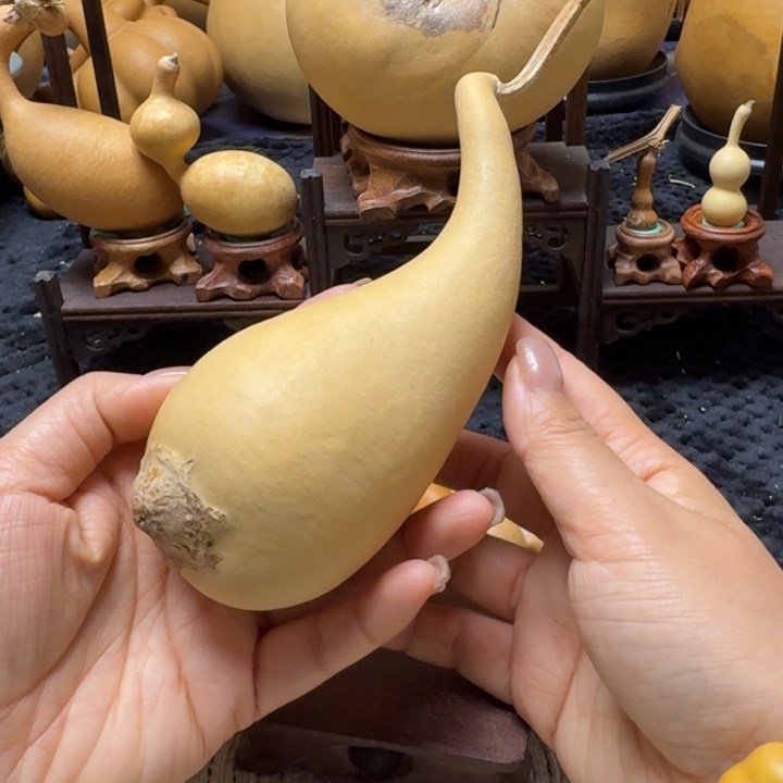 今***吗腰子一把嘎嘎漂亮