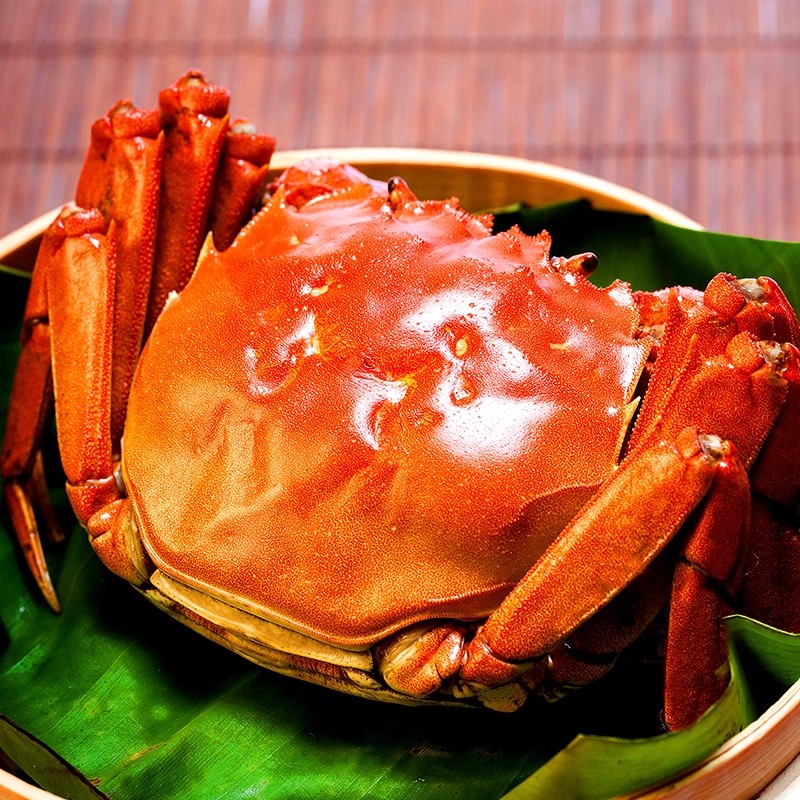 【活蟹】江苏大闸蟹 全公蟹5.5-5.2两 8只送2只 京东顺丰冷链