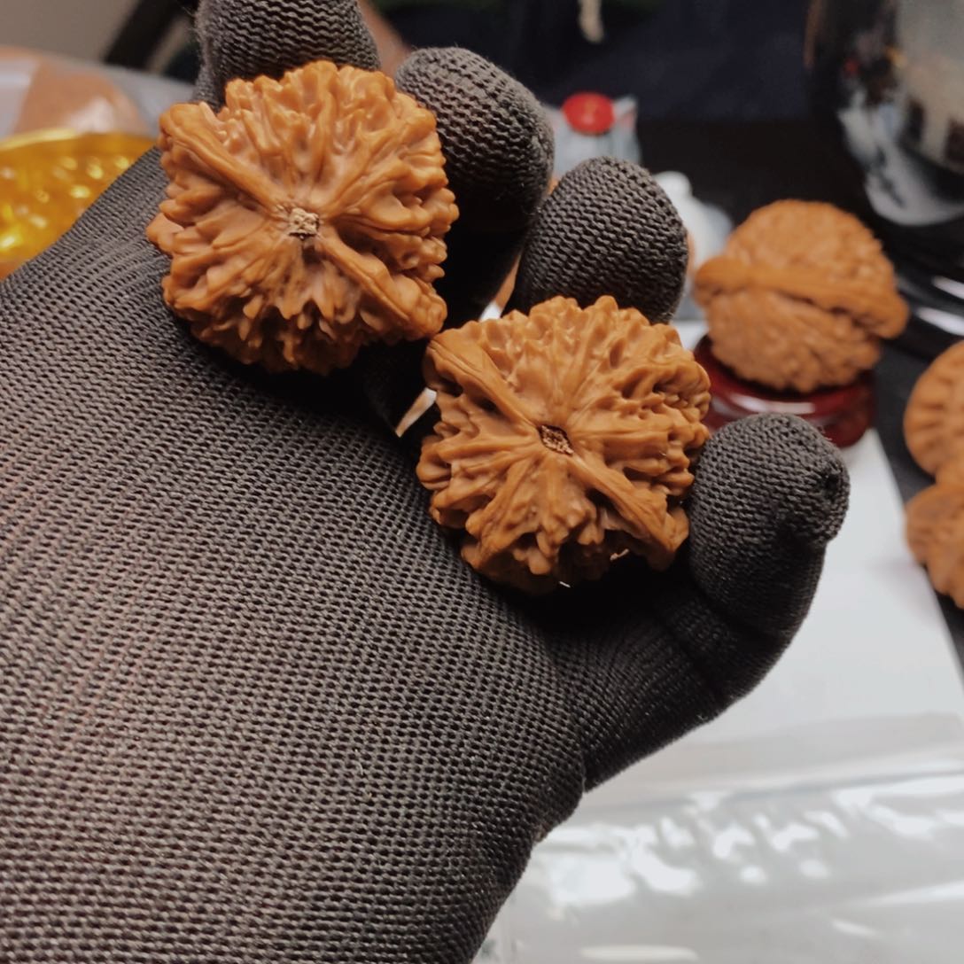 文玩核桃把件077秦闷37