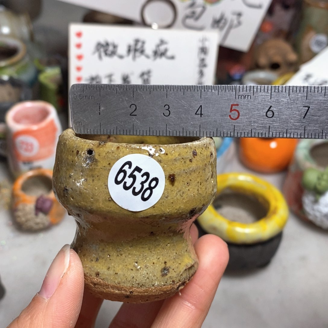 拍5送一个小礼物＇花盆